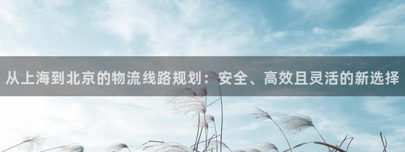 优游国际官网下载多少：从上海到北京的物流线路规划：安全、高效