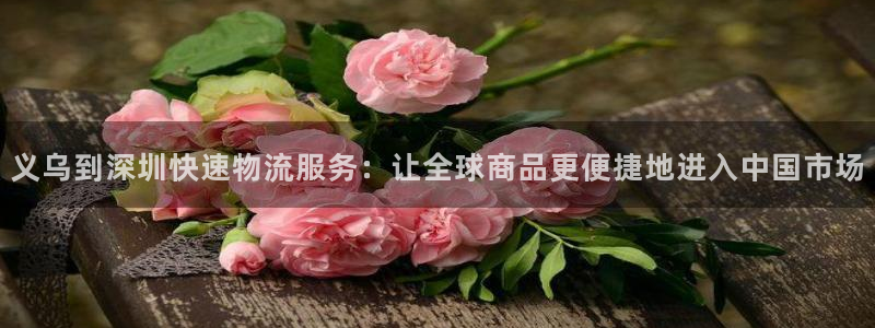 优游国际官网入口官网