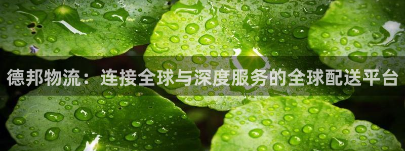 ,优游国际注册送：德邦物流：连接全球