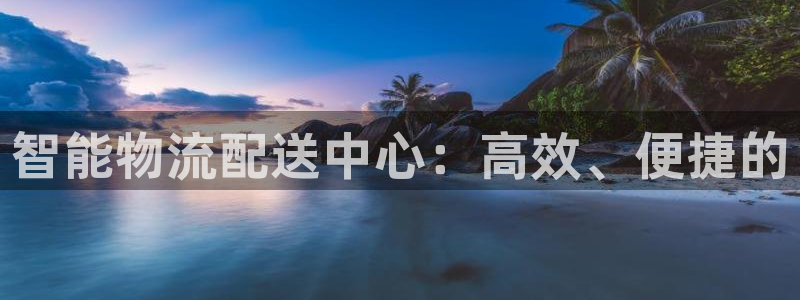 ,优游国际加拿大下载：智能物流配送中