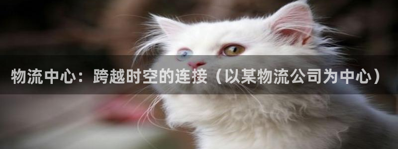 ,优游国际旗下：物流中心：跨越时空的连接（以某物流公司为中心