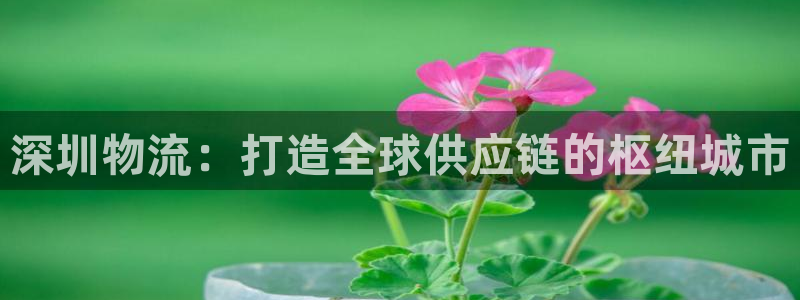 ,优游国际加拿大模拟器