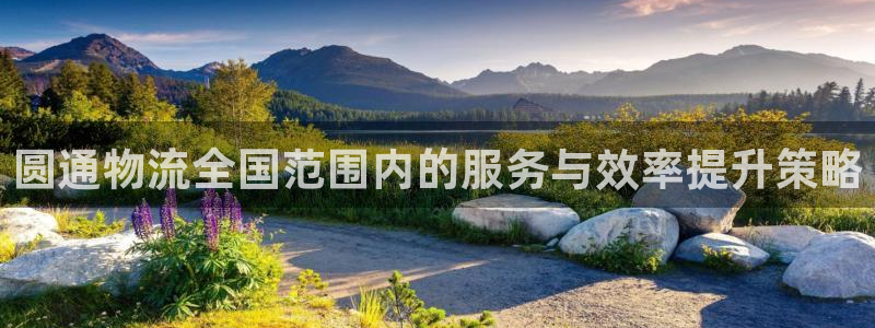 ,优游国际初始资金密码在哪里改