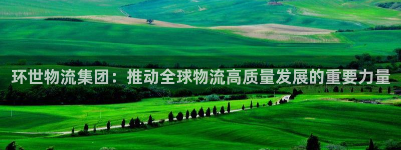 优游国际官网下载多少钱：环世物流集团