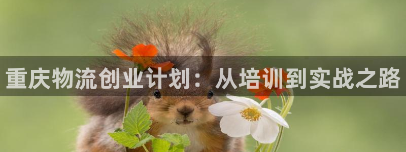 ,优游国际aPP退款