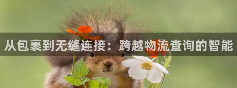 ,优游国际官方版网站