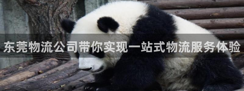 ,优游国际麻将胡了爆分视频