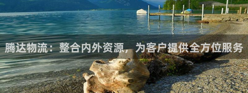 ,优游国际网站平台：腾达物流：整合内