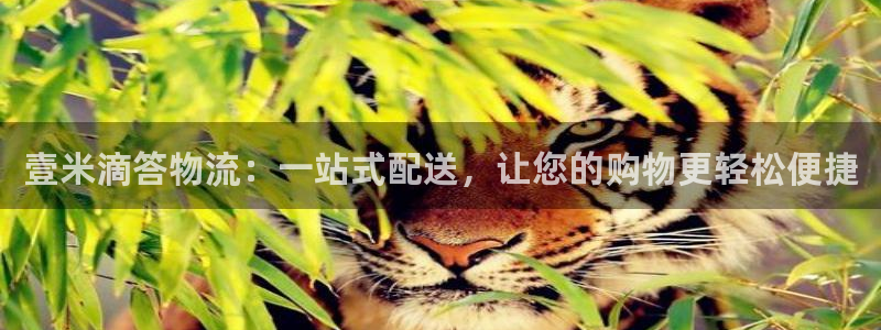 ,优游国际注册链接入口：壹米滴答物流：一站式配送，让您的购物