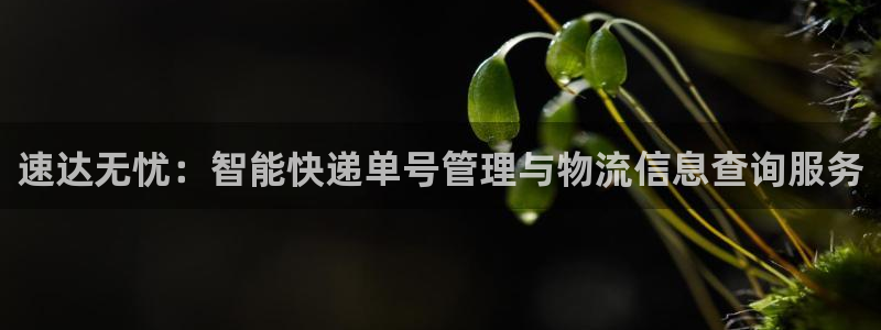 ,优游国际的自行车