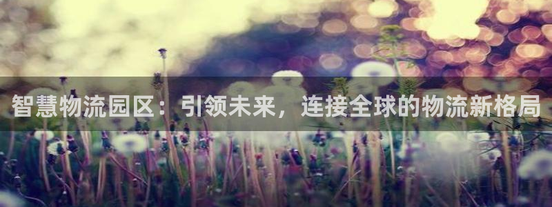 ,优游国际加拿大怎么玩：智慧物流园区