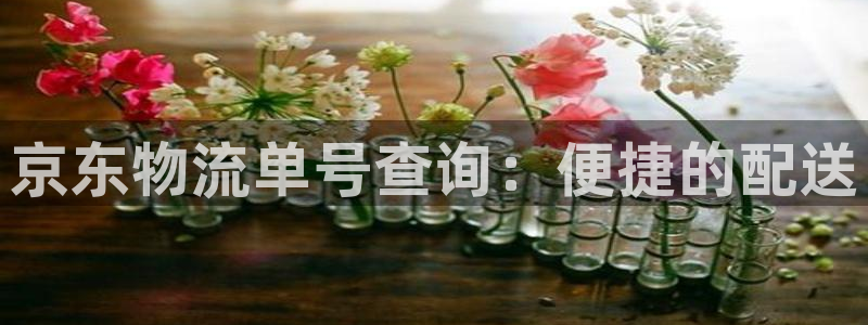 ,优游国际能赢钱吗：京东物流单号查询
