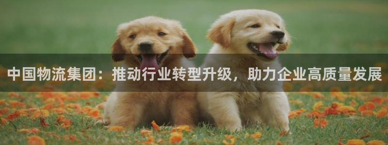 ,优游国际软件有什么用