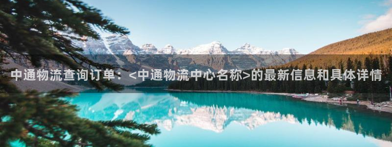 优游国际官方网站:中通物流查询订单: