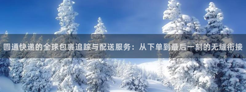 ,优游国际充值金额随便：圆通快递的全球包裹追踪与配送服务：从